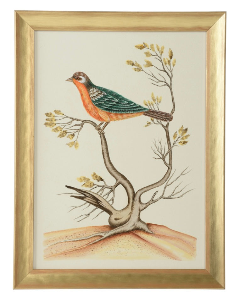 Watercolor Birds