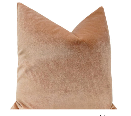Venetian Velvet Blush Pillow