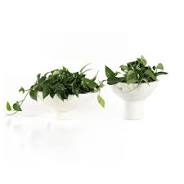 Pressler Outdoor Planter Set
