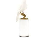 Parrot On Crystal - Square Lg