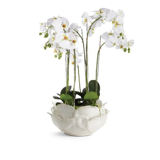 Di Rosa Decorative Bowl