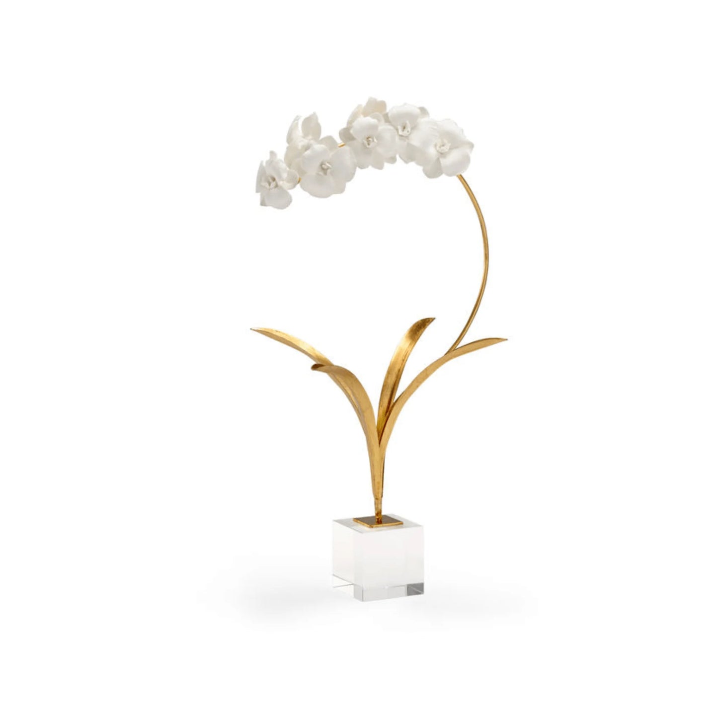 Small Orchid on Stand