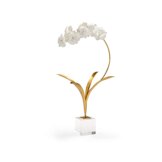 Small Orchid on Stand