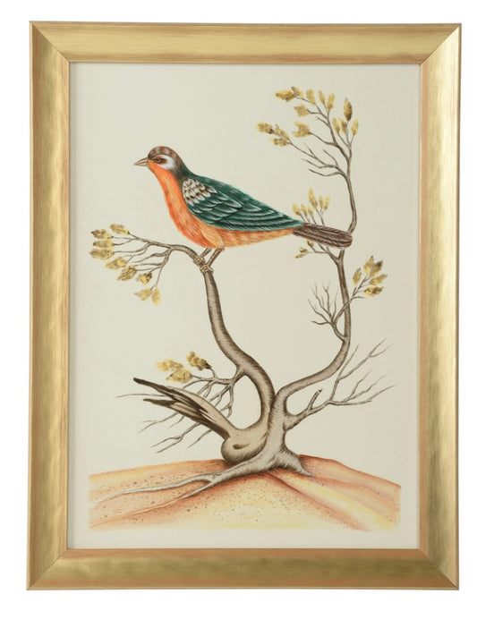 Watercolor Birds