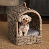 Canopy Pet Bed Gray