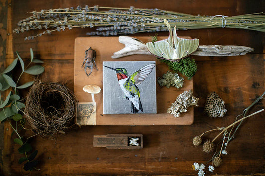 Hummingbird Painting