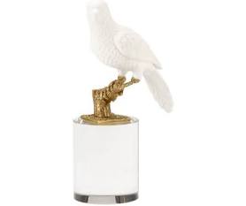 Parrot On Crystal - Square Lg