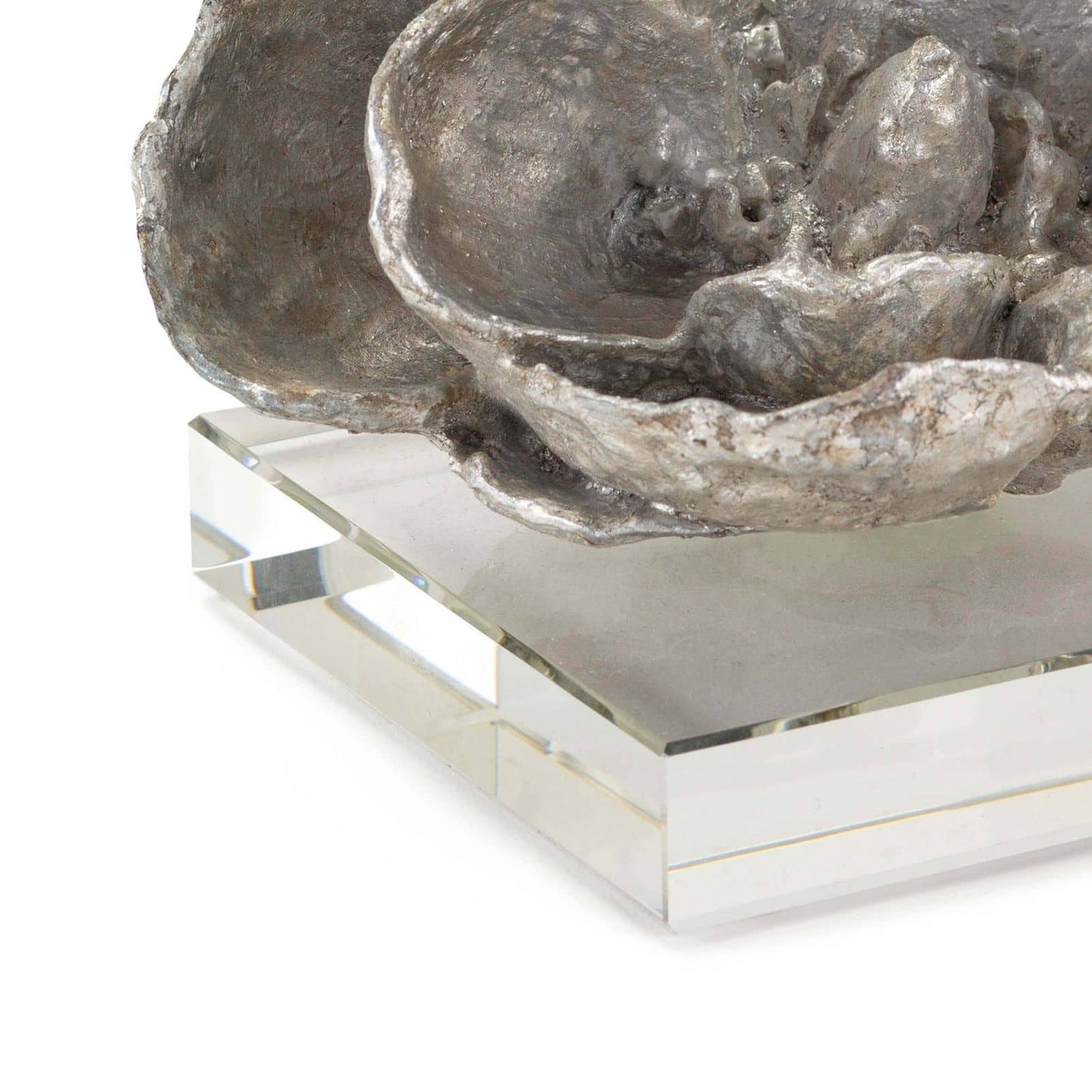 Magnolia Silver Leaf Objet