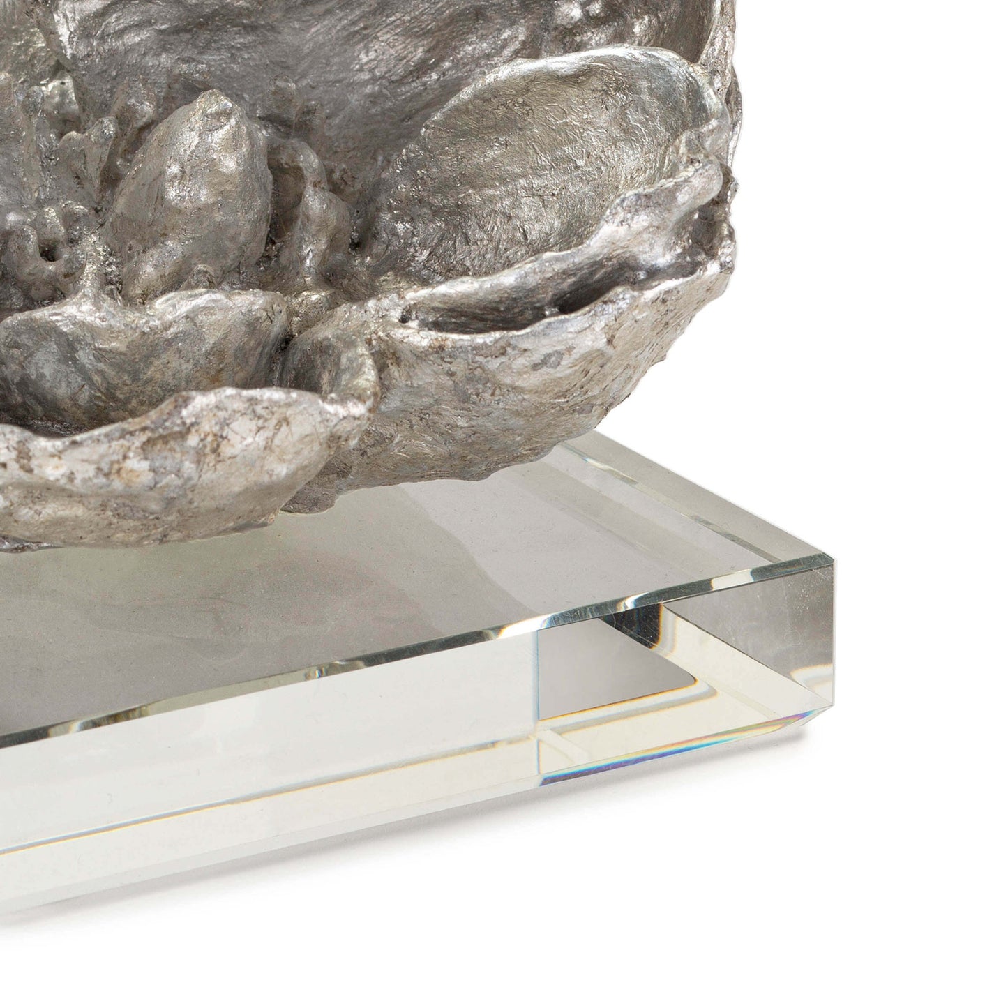 Magnolia Silver Leaf Objet