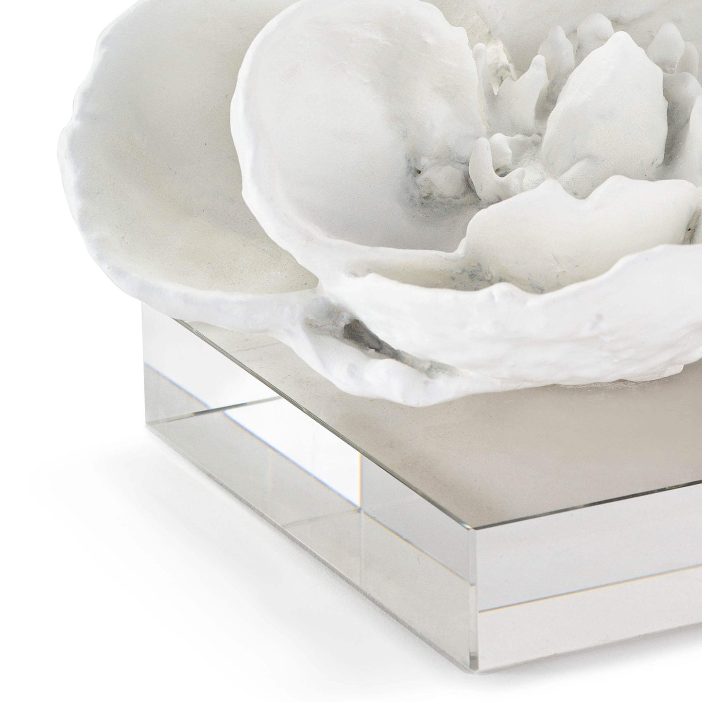 Magnolia White Leaf Objet